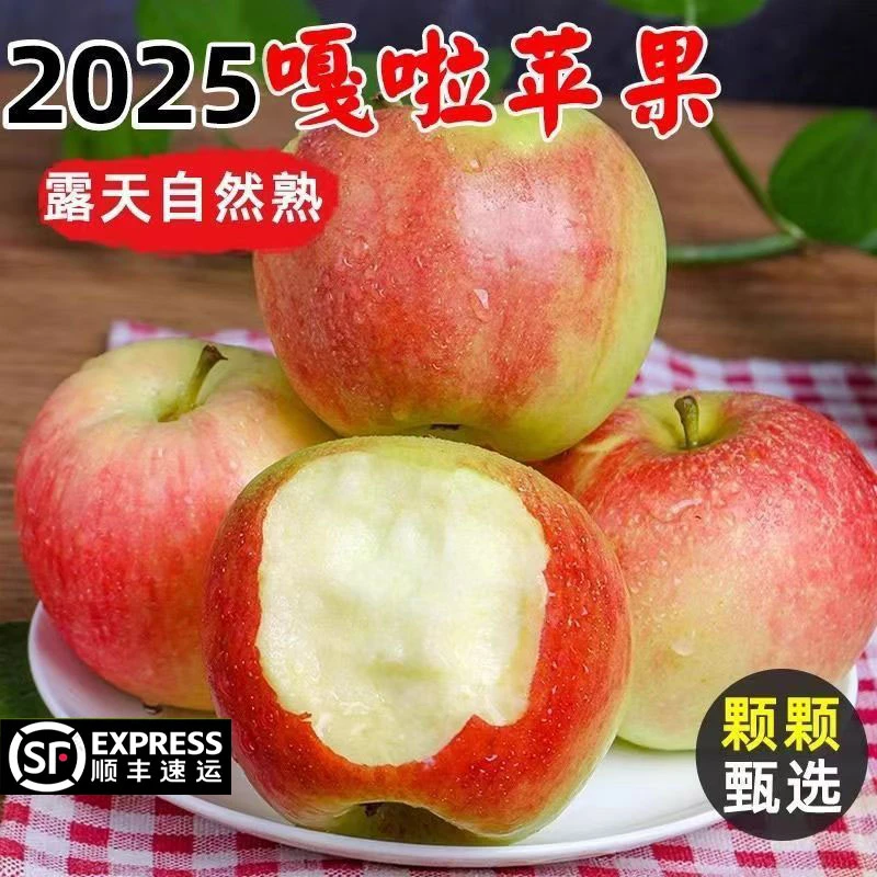 【顺丰包邮】新鲜嘎啦小苹果现摘应季水果酸甜头茬水果