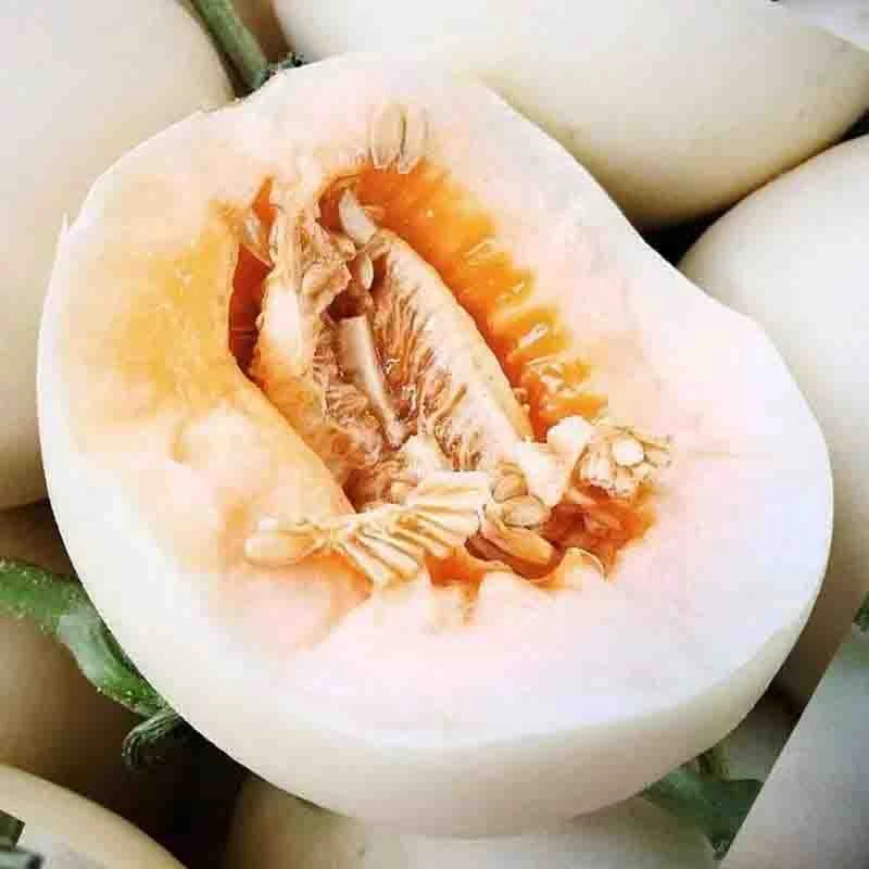 3斤小香瓜东北新鲜水果当季蜜瓜头茬甜瓜现摘脆瓜特产白糖罐香瓜