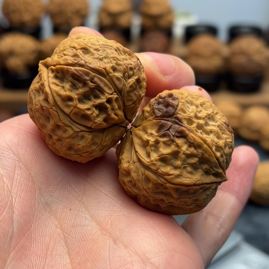 文玩核桃把件铁核桃12-12