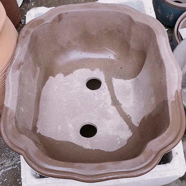 紫砂39莲花花哦佳品ni ap