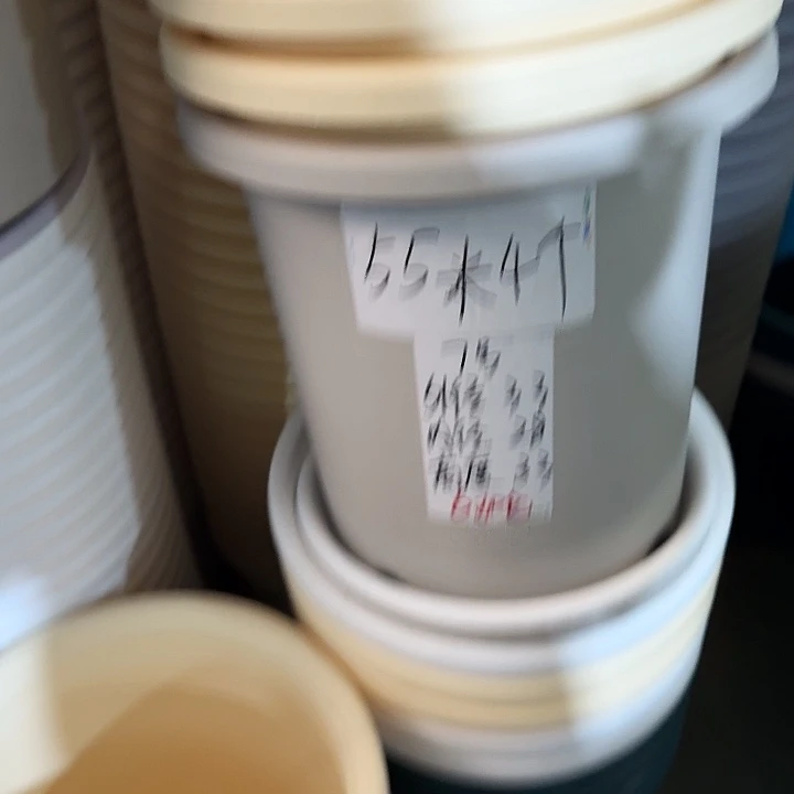 四季7号灰白无托6个特价微瑕