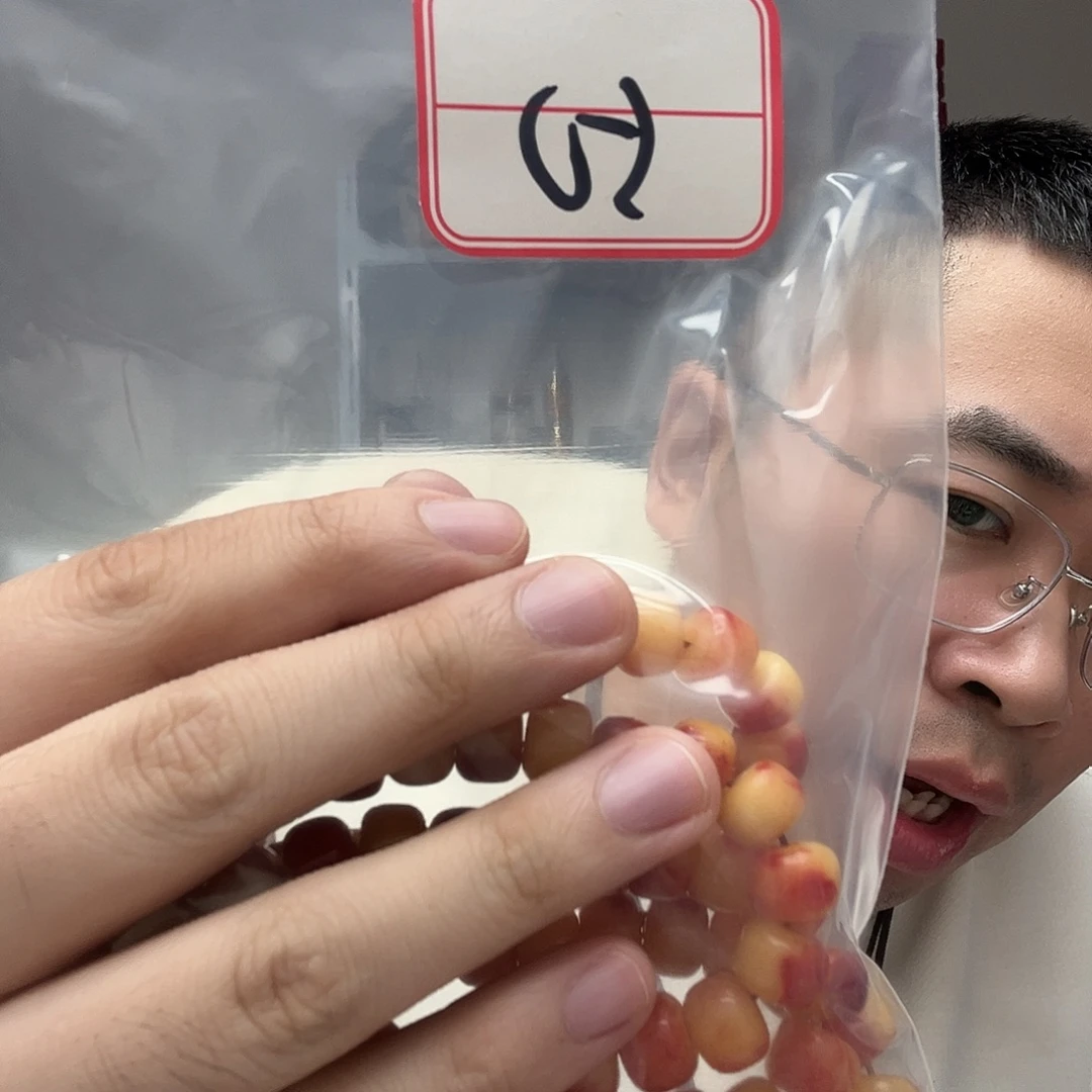 橄榄核手串/手链工艺品50