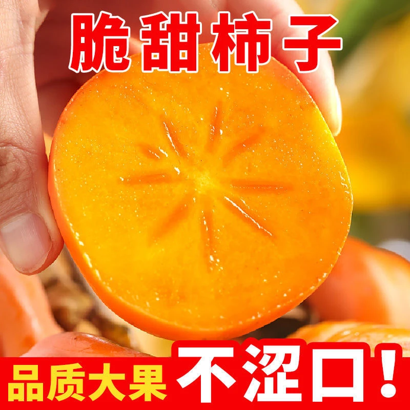 L双十一好物山西正宗阳丰脆柿巧克力冰糖心甜脆柿子当季新鲜水果