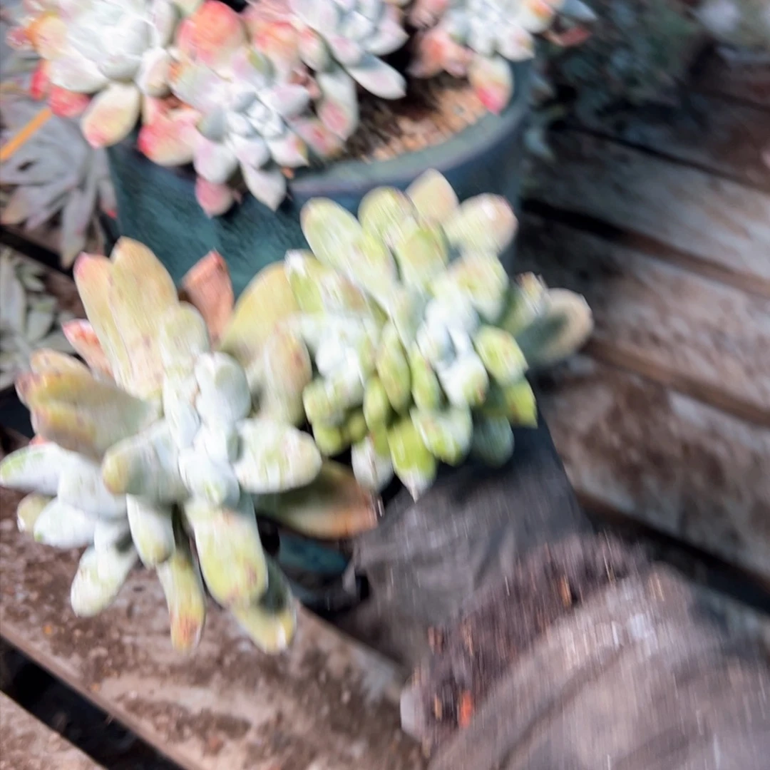 7156哈哈哈哈哈哈哈哈