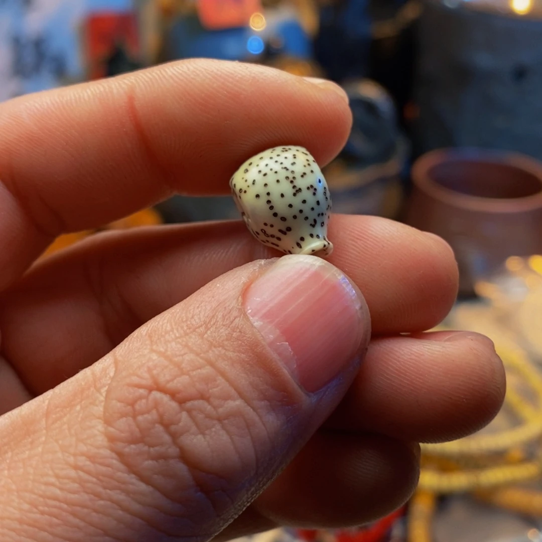 星月菩提吊坠s****e三通