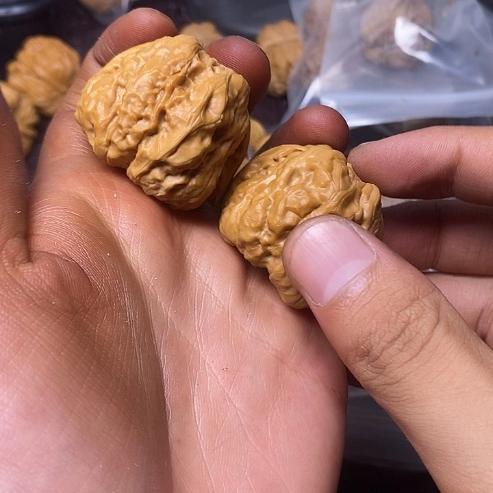 三九尺大肌肉蛙蛙