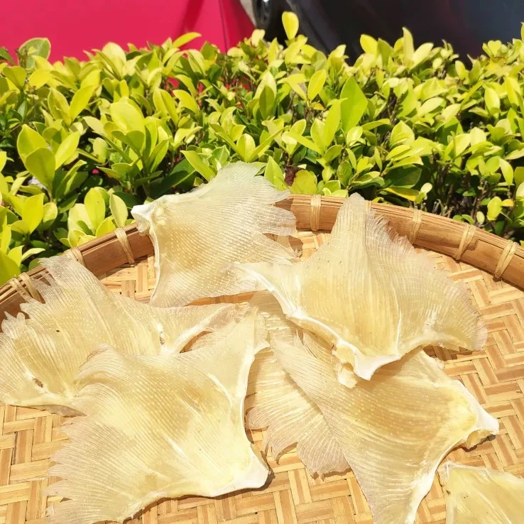 【广东年货节】北海特产鱼干翅煲汤煮料