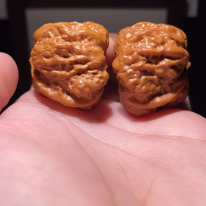 核桃把件38×38  8腿全在