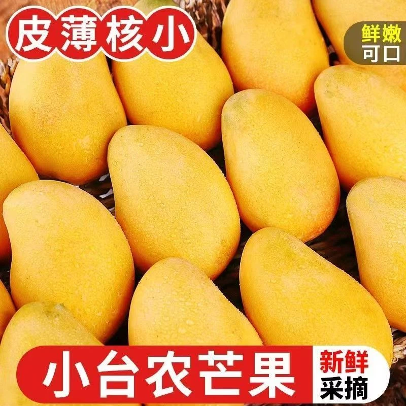 A正宗小台芒香甜多汁现摘现发热带水果产地直发应季水果鲜嫩可口