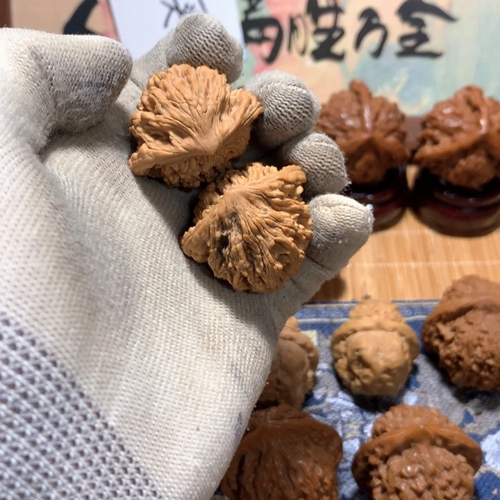 机****哈哈哈哈哈哈哈哈哈