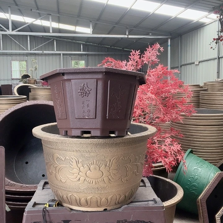 梅花照眼 依然旧风味