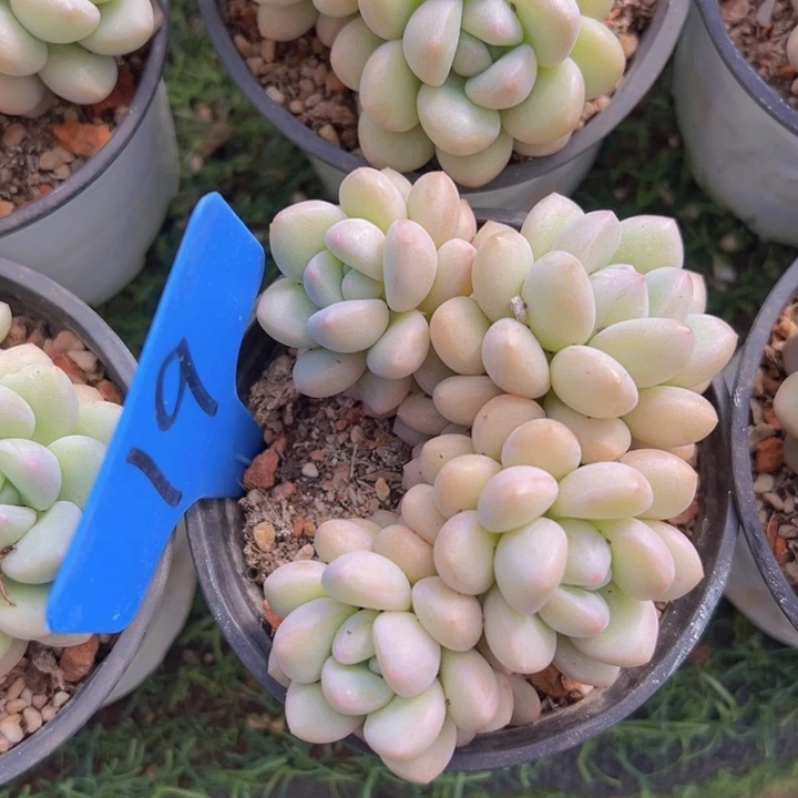 健健康康平平安安