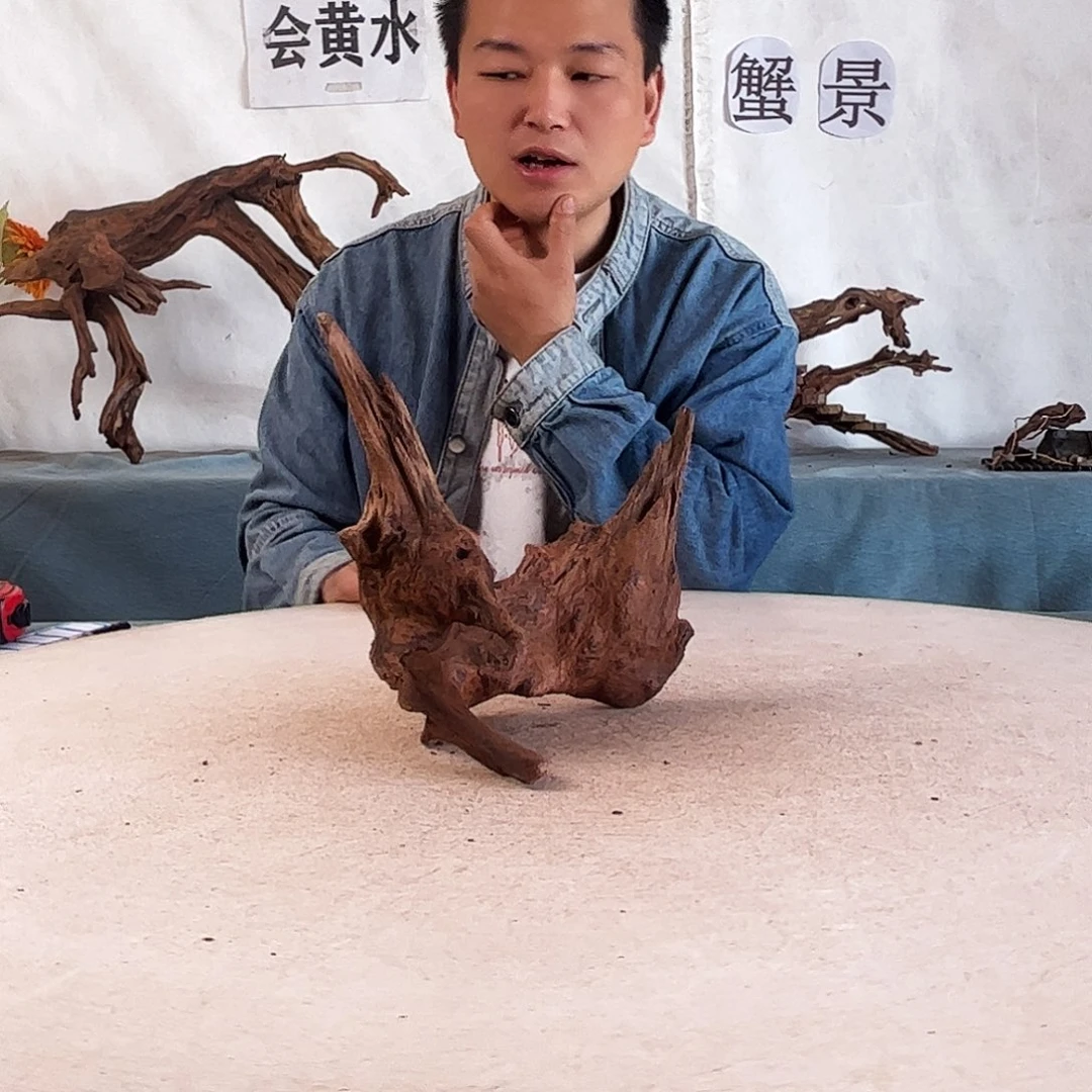 新年快乐沉木造景