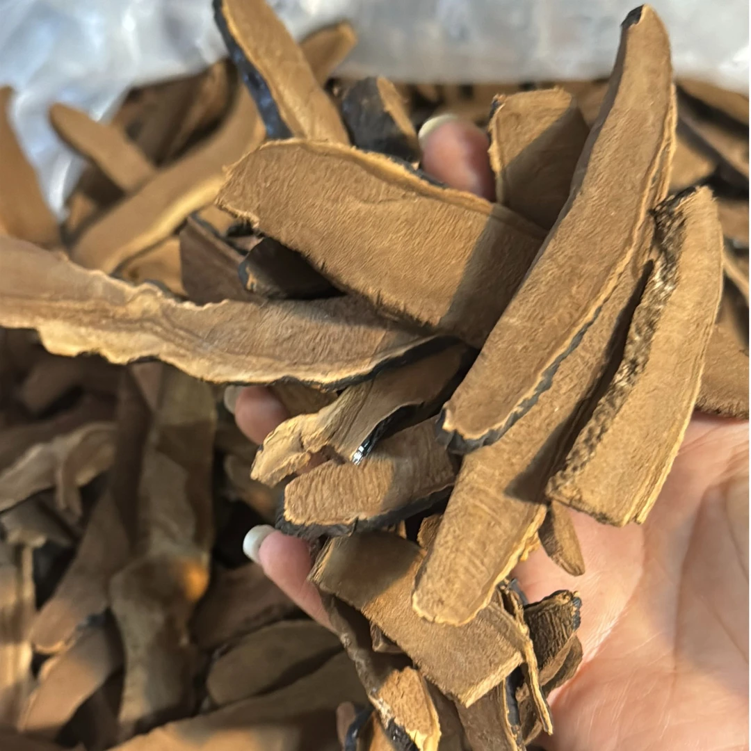 【海山阿仕专属】灵芝煲汤泡水切片