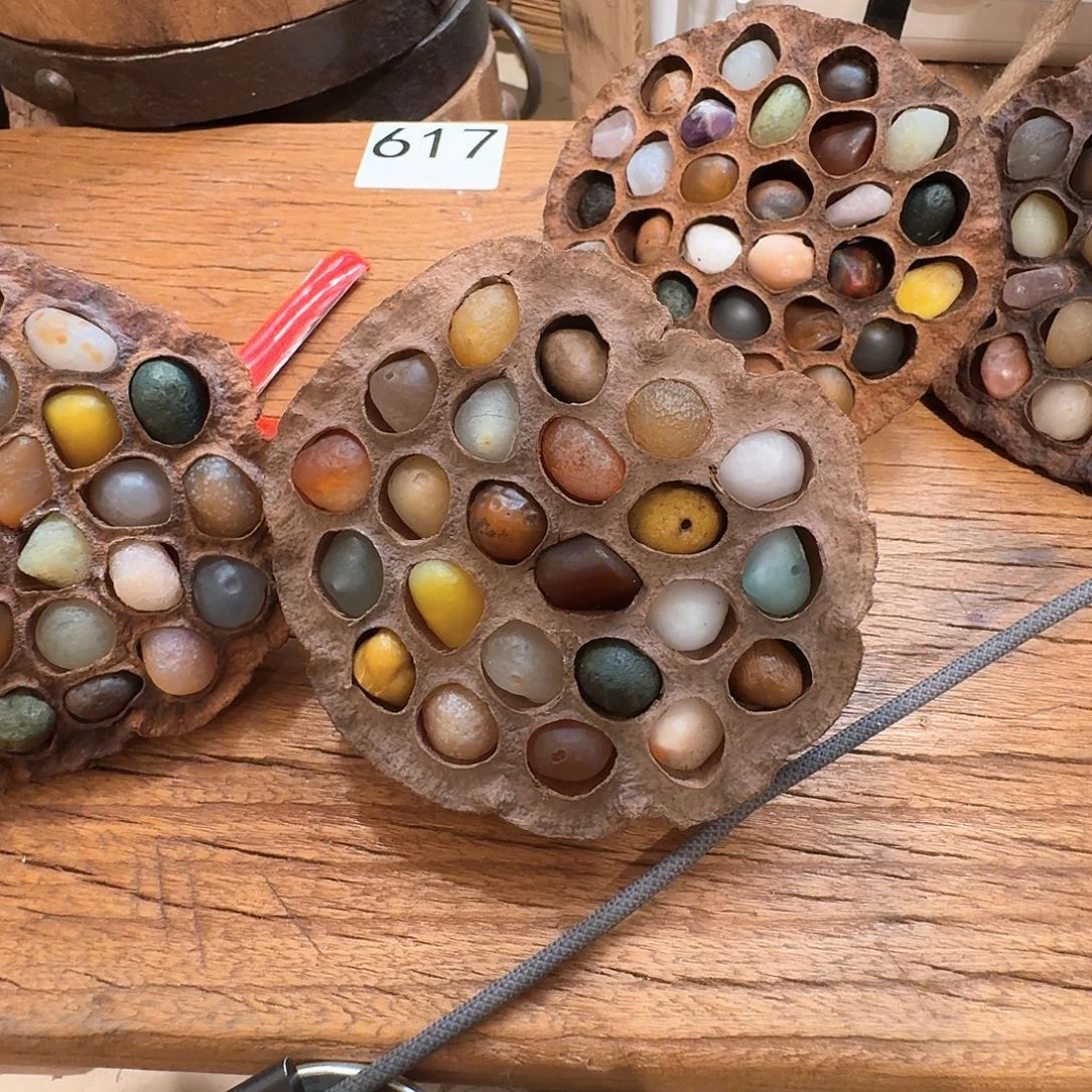 老了就不想了吗我的天