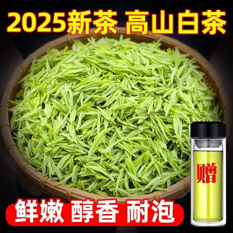 2025新茶头采特级安吉高山白茶新茶春茶高山鲜爽回甘浓香型绿茶叶
