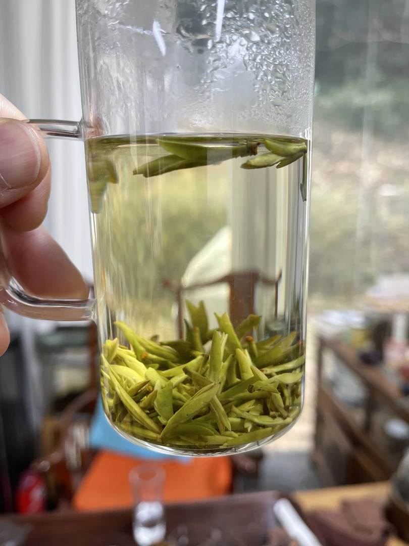 【2025新茶现卖】2025头春乌牛早鲜叶 杭州龙井炒茶师父 现炒现卖