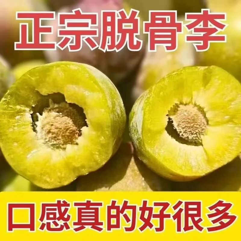 四川5斤半边红脱骨李新鲜脆甜可口新鲜果园（四川昆明多仓）发货