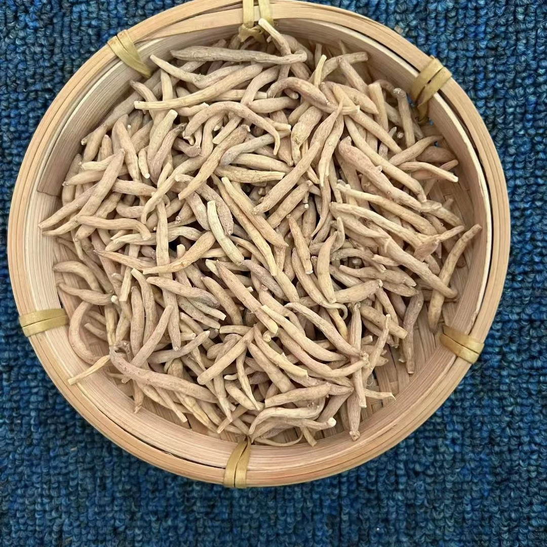 湘西现场收太子参