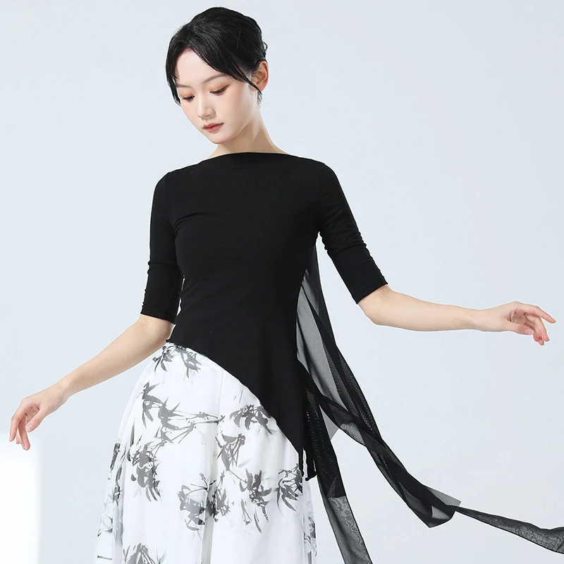 拼接古典舞民族现代身韵纱衣舞蹈服演出服中国舞练功服上衣女艺考