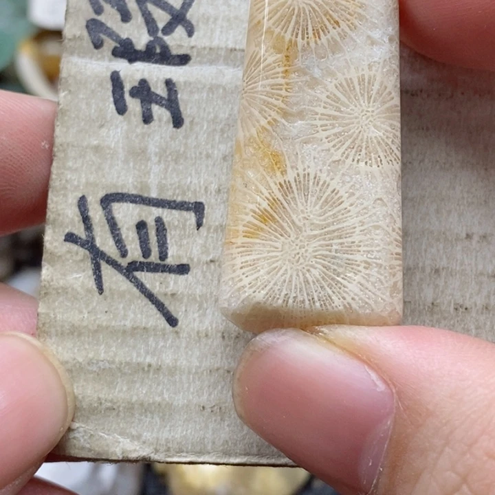 硅化珊瑚（珊瑚玉）颈饰未镶嵌