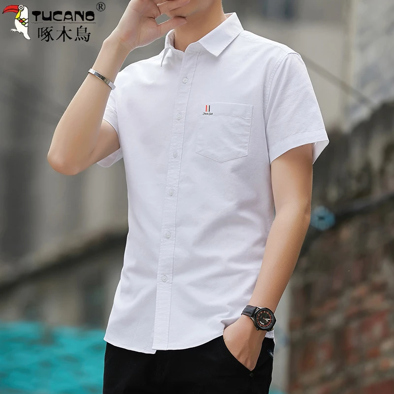 TUCANO/啄木鳥夏季男士纯棉短袖polo衬衫全棉水洗牛津纺衬衣