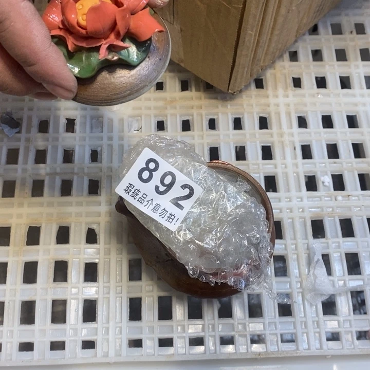 杯柴烧肉等特色菜式