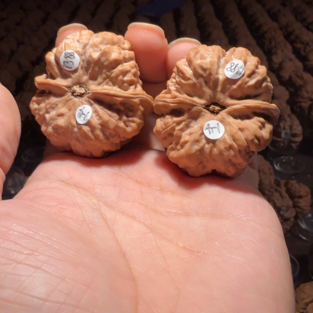 C***ゃ文玩核桃把件蛤蟆的眼睛是真的好看啊