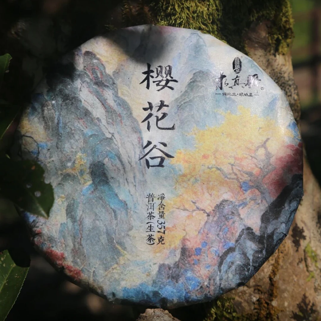 【求真号级茶】2025年樱花谷357克生茶饼