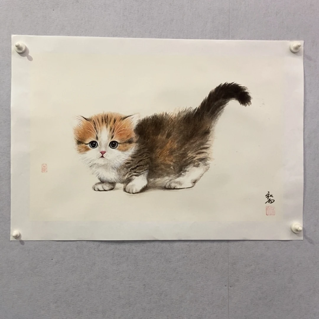 十***声国画墨鱼精品墨鱼精品