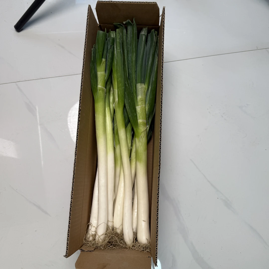 疆雪劲葱新疆直发新鲜沙漠大葱新鲜现挖现发农家自种5斤包邮