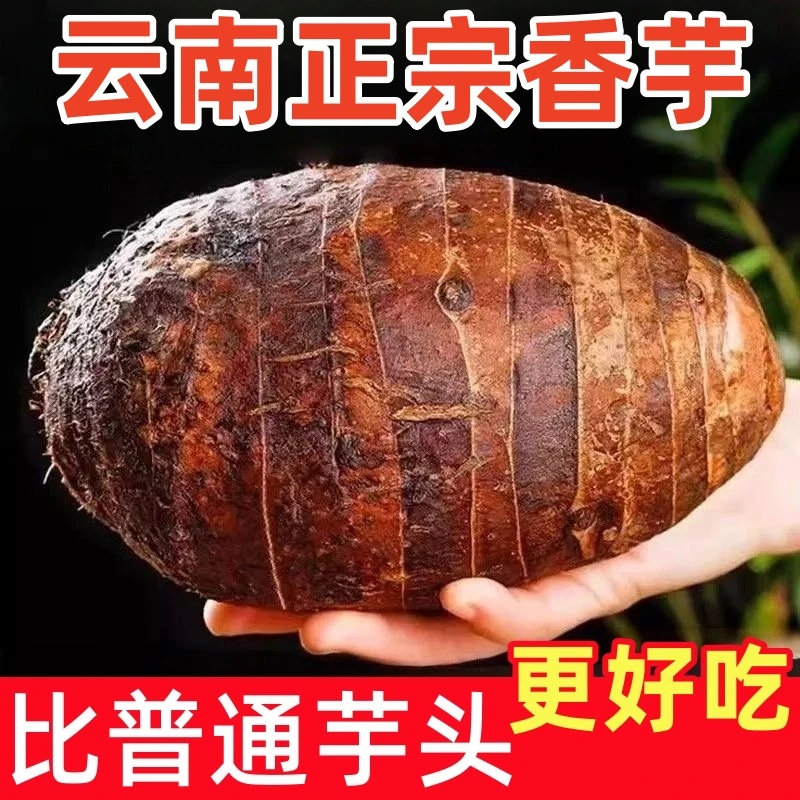【净重9斤】正宗芋头超新鲜香芋软糯荔浦芋头当季新鲜蔬菜特大芋头