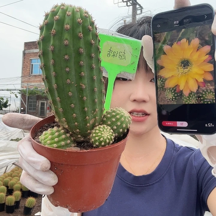 超级杏11111111111