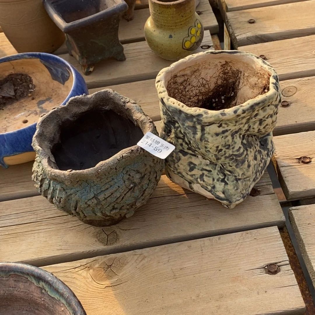 红陶A***n59号多肉盆两个组合