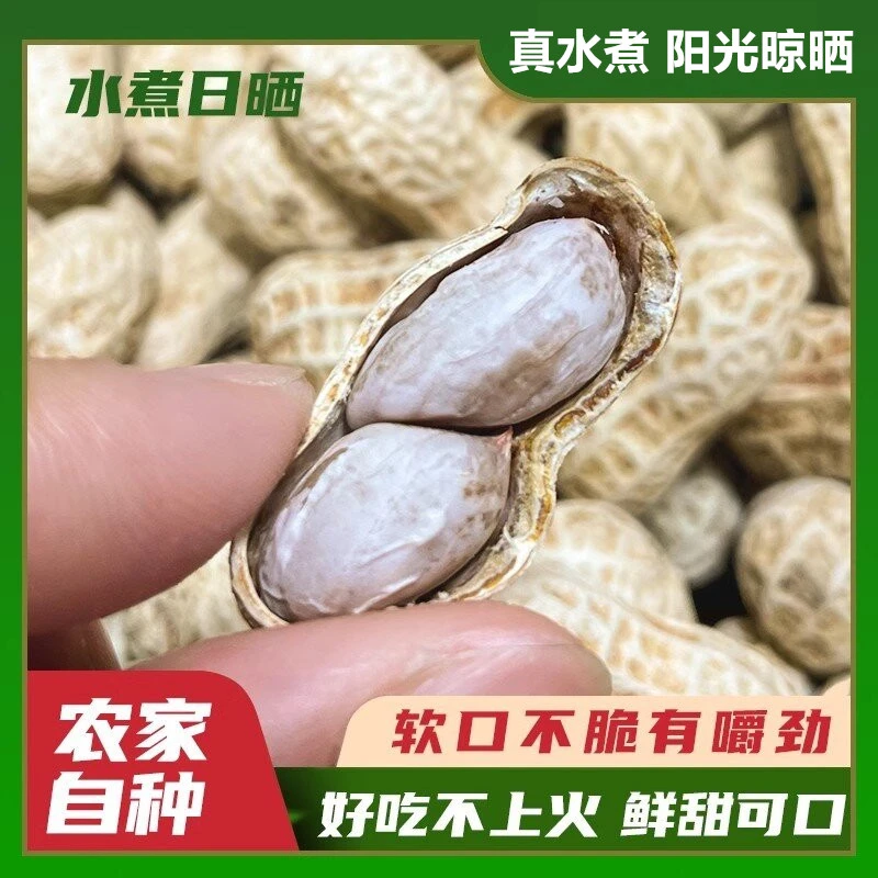 【真水煮】新货正宗龙岩特产水煮花生咸干太阳日晒带壳下酒解馋零食