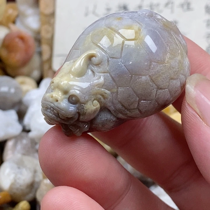 颈饰未镶嵌硅化珊瑚（珊瑚玉）