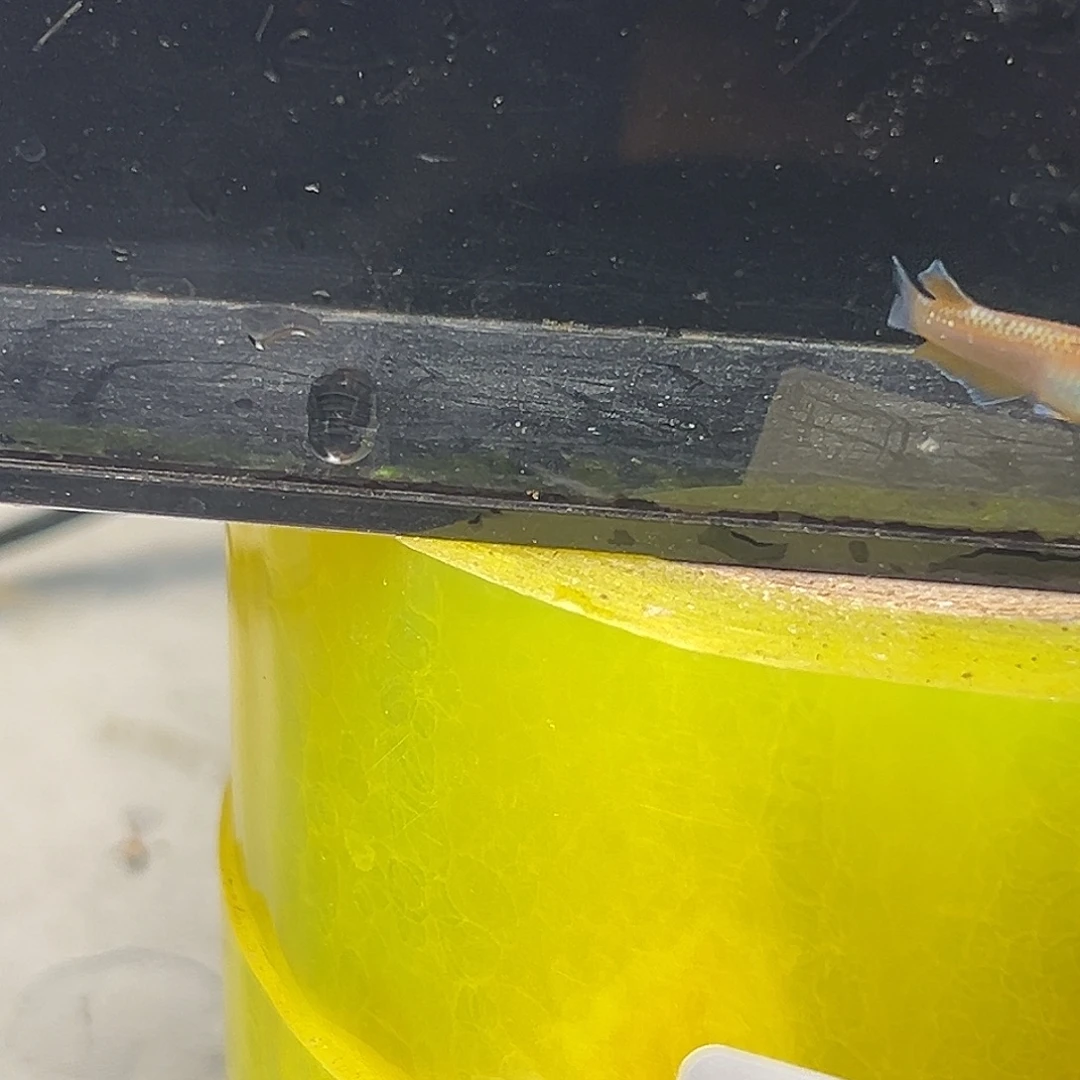海水林血赤壁一对21
