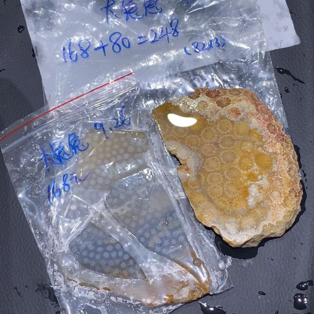【闪购商品】未镶嵌珊瑚玉硅化玉大*兔