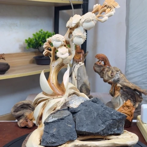 柏木（崖柏）迷***容把n不过洪洪不能见面你看