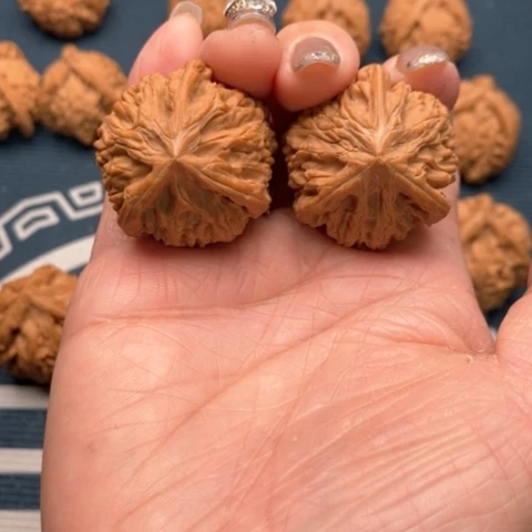 橄榄核手串/手链文山三棱，御龙粗筋34