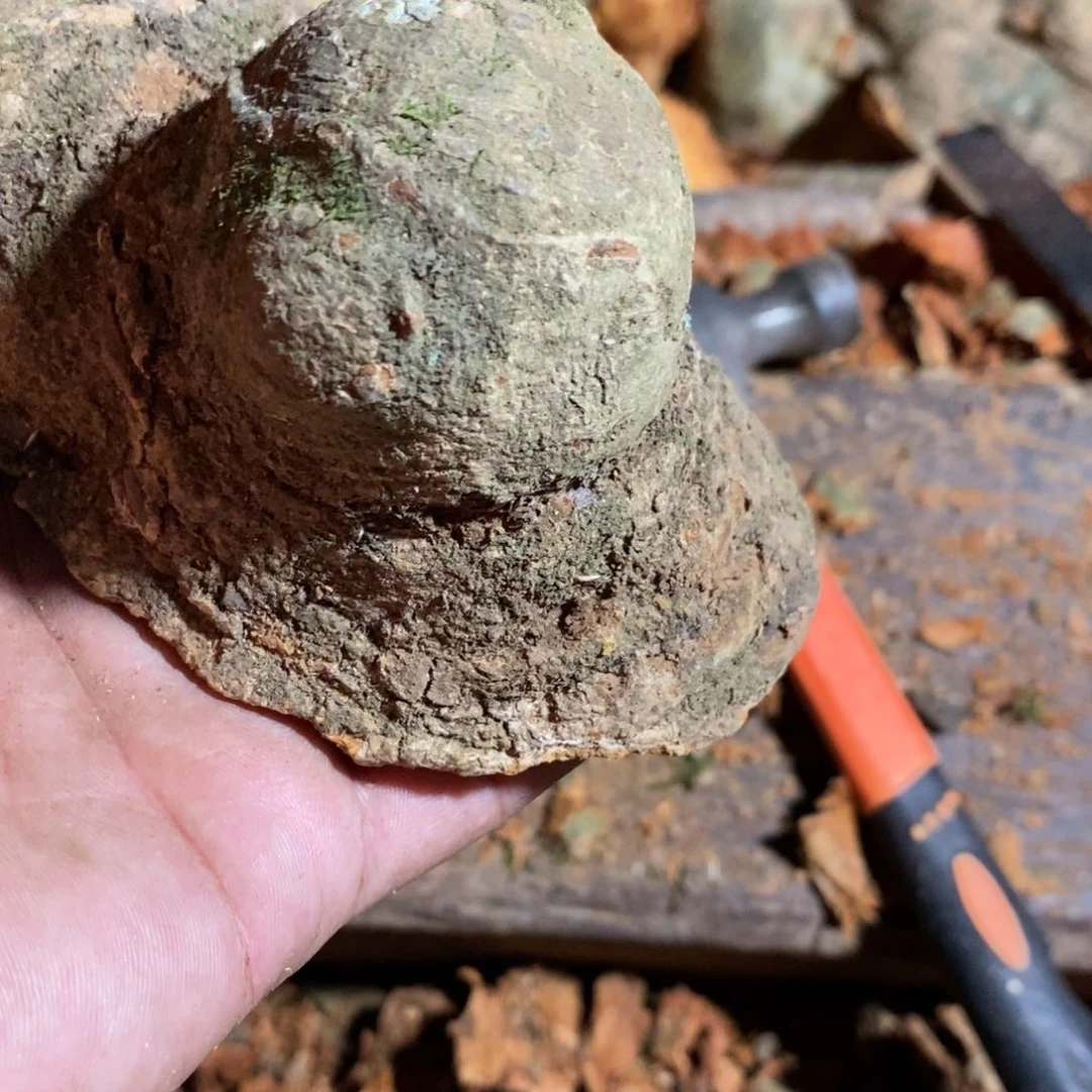 荔枝木小*呀荔枝木原材料