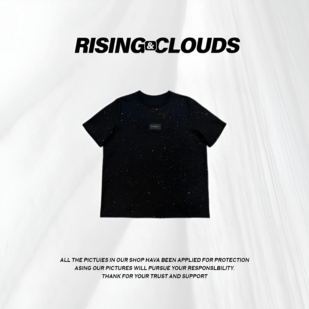 RISING&CLOUDS【莎莎】2025早春显瘦光面短袖T恤上衣030222