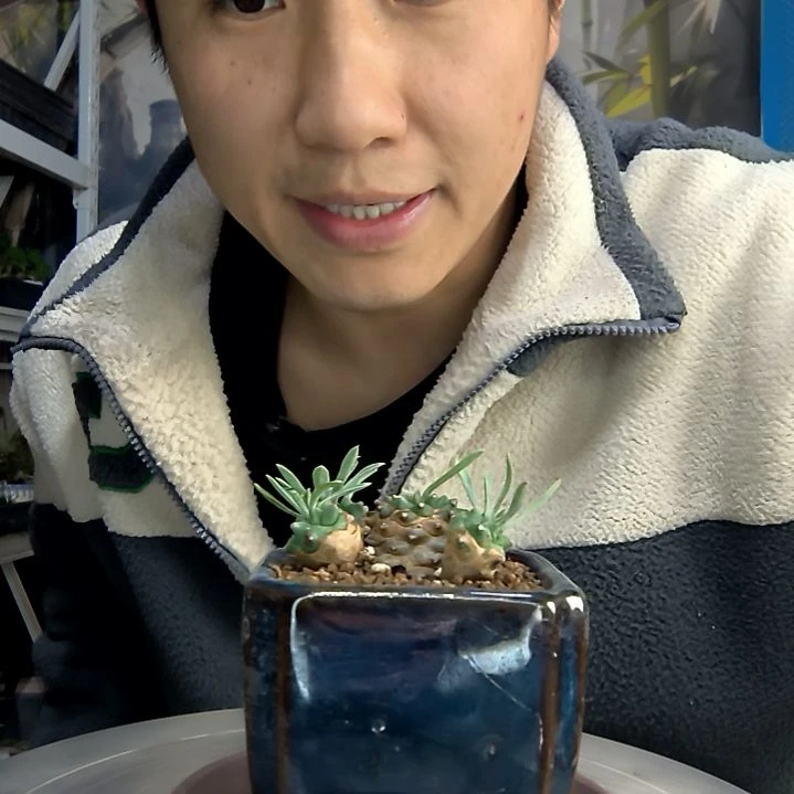 不**胖中青园艺一物一拍414