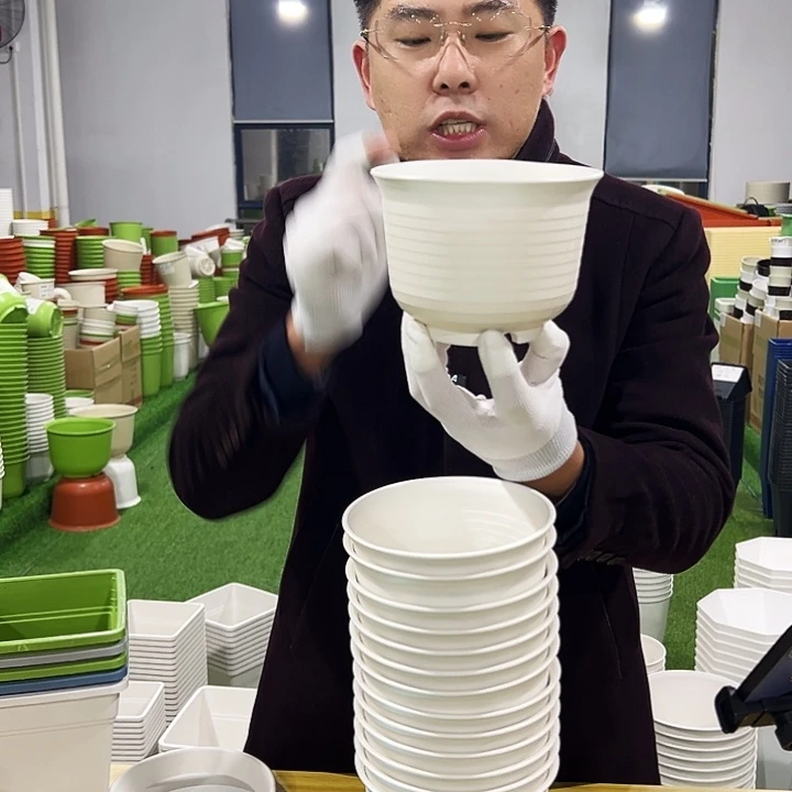 正品矮陶口15高11白色10只带托