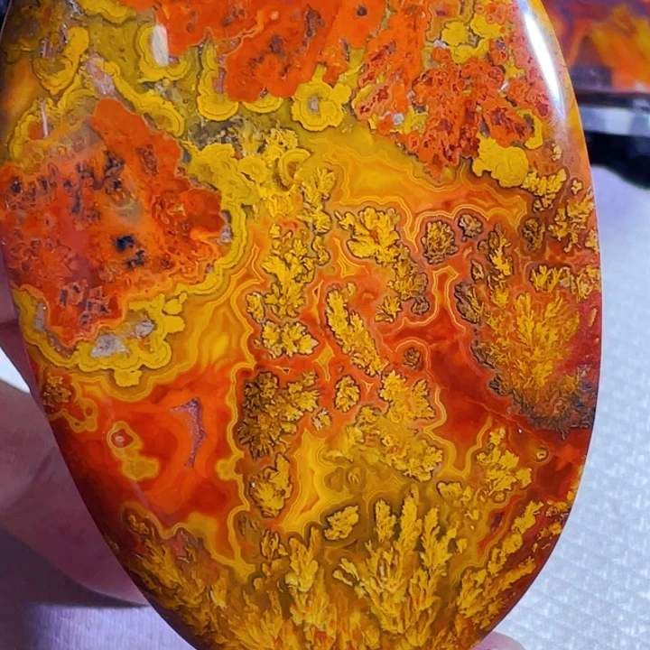 玛瑙/玉髓玛瑙未镶嵌海*