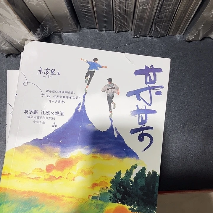 某某全新全套三本带周边未删减