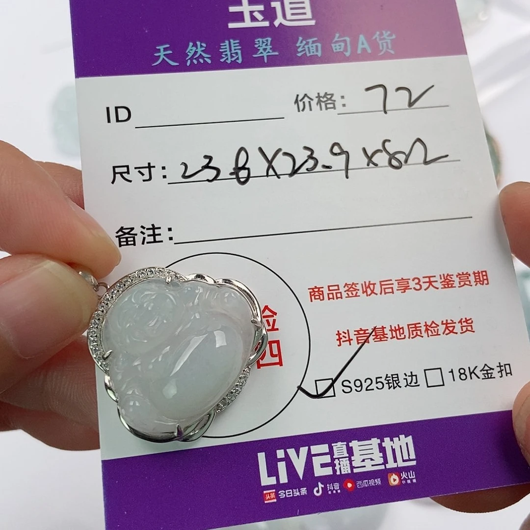 翡翠银S925镶嵌颈饰翡翠