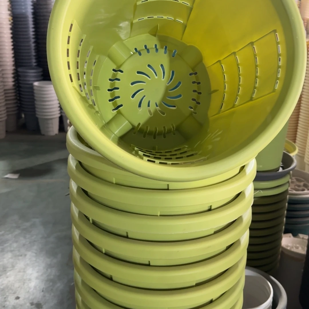 聚***缘测1#口径19无拖果绿50个