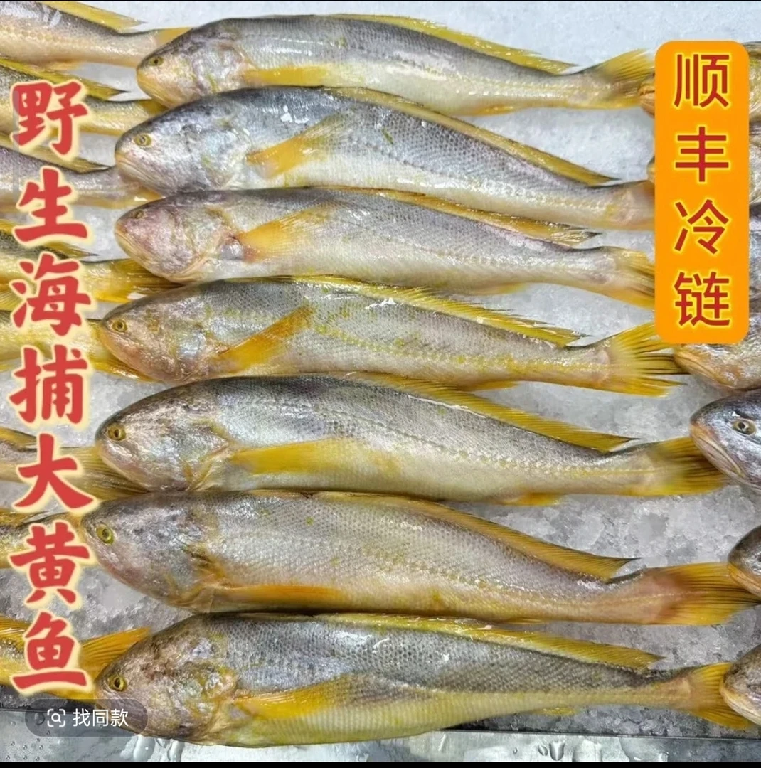 【三胞胎推荐】野生大黄鱼 6-8两/条新鲜速冻 日照顺丰冷链发货