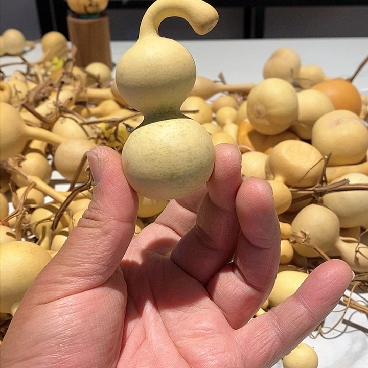 高****）精品葫芦手把葫芦98